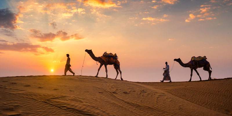 8 Nights 9 Days Jaipur Ranthambore Bundi Kota Chittorgarh Udaipur Tour Package